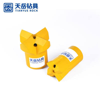 Cross Bit R25
